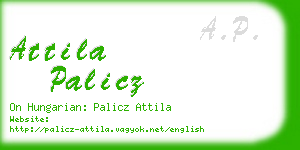 attila palicz business card